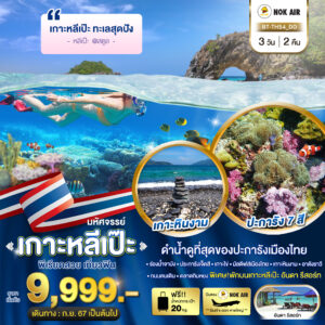 ดำน้ำดูที่สุดของปะการังเมืองไทย ร่องน้ำจาบัง ประการังเจ็ดสี เกาะไข่ มัลดีฟส์เมืองไทย เกาะหินงาม อาดังราวี ถนนคนเดิน ตลาดกิมหยง